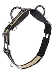 Busse Longiergurt DOUBLE aus Leder in Schwarz für Shetty – Bild 1 von 2