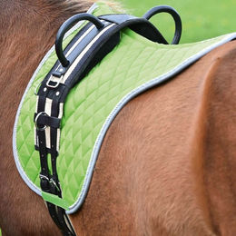Busse Longiergurt Double Shetty aus Canvas in Grau und Grün – Bild 1 von 2