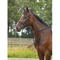 Produktbild von Busse Martingal BASIC-PRO für Warmblut in Schwarz aus Leder - 1 Stk.