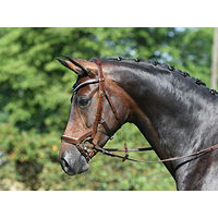 Produktbild von Busse Modena Zaumzeug aus Leder für Warmblut in Braun