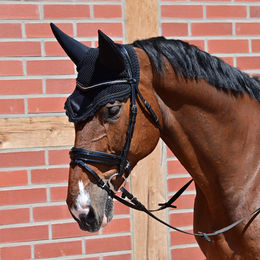 Busse Ohrenhaube CALM II für Warmblut Pferde aus Baumwolle Schwarz – Bild 1 von 2