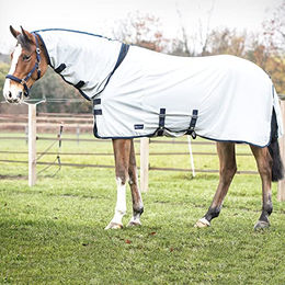 Busse Outdoor-Fliegendecke COMFORT PRO aus Polyester in Silber-Weiß – Bild 1 von 2