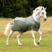 Produktbild von Busse Outdoordecke Rainfly aus Polyester in Grau und Grün