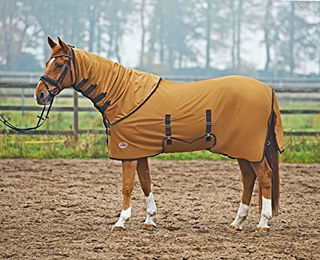 Busse Paddock Fliegendecke Anti-Fly Flexible mit Bauchlatz in Beige – Bild 1 von 2