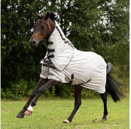 Busse Pferde-Fliegendecke Sunshine II Outdoor-Decke aus Polyester in Silber/Grau mit 95 cm Rückenlänge – Bild 1 von 2
