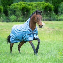 Produktbild von Busse Rain-Dear Outdoordecke für Pferde in Eisblau Navy aus Polyester
