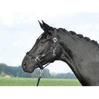 Produktbild von Busse Supreme Halfter für Ponys in Blau oder Schwarz