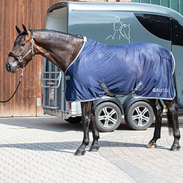 Produktbild von Busse Transport-Fliegendecke Professional II aus Polyester für Pferde