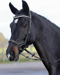 Busse Trense Emotion Reithalfter mit Kristallbesatz Schwarz Größe Wb – Bild 1 von 1