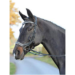 Busse Trense Emotion Reithalfter Trensenzaum mit Zügel Schwarz Weiß Kristall für Ponys – Bild 1 von 1