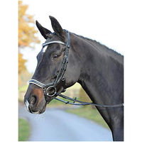 Produktbild von Busse Trense Emotion Reithalfter Trensenzaum mit Zügel Schwarz Weiß Kristall für Ponys