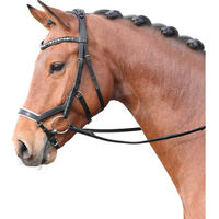 Produktbild von Busse Trense Feeling Ledertrense mit Zügel für Ponys in Schwarz Weiß und Strass Grau Multi