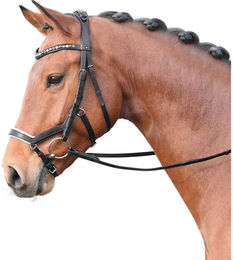 Busse Trense Feeling Ledertrense mit Zügel für Warmblut Schwarz Weiß Strass Grau Multi – Bild 1 von 1