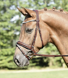 Produktbild von Busse Trense Matera Leder Braun für Warmblut