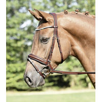 Produktbild von Busse Trense Matera Leder Braun für Warmblut
