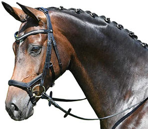 Busse Trense MODENA für Warmblut aus Leder Schwarz LPO-konform – Bild 1 von 3