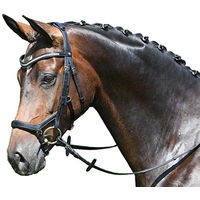 Produktbild von Busse Trense MODENA für Warmblut aus Leder Schwarz LPO-konform