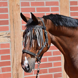 Busse Visby II Fliegenkordelband für Warmblut Pferde – Bild 1 von 3