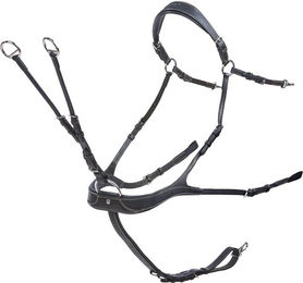 Busse Vorderzeug Take-Off Line AP aus Leder Schwarz VB-WB – Bild 1 von 1