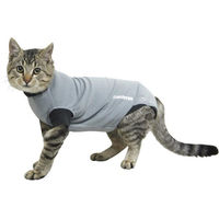 Produktbild von Buster Bodysuit Classic Katzenanzug Grau XS