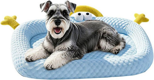 Bwecuy Selbstkühlende Hundematte für Hunde Blau – Bild 1 von 2