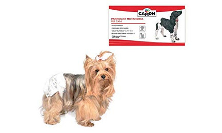 Produktbild von Camon Hundewindeln Größe L 12 Stück