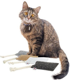 Produktbild von Canadian Cat Company Filzkissen FELTY 4er Set mit Baldrian - 4 x 5 g