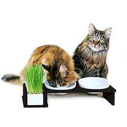 Produktbild von Canadian Cat Company Futternapf Cat Diner mit drei Keramikschalen - 1 Stk.