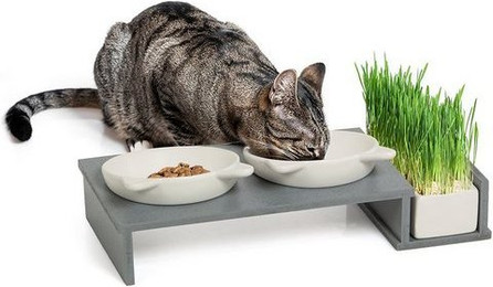 Produktbild von Canadian Cat Company Futternapf Foodbar Cat Diner Keramik mit Katzengras Schale
