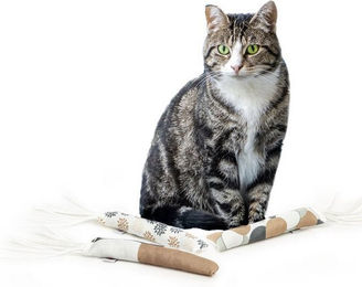 Produktbild von Canadian Cat Company Katzen-Federwedel 3er Set Spielrolle mit Lederstreifen