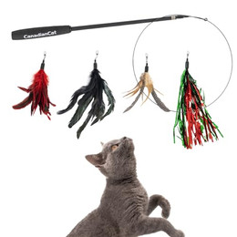 Produktbild von Canadian Cat Company Katzenangel Set mit 4 Federn