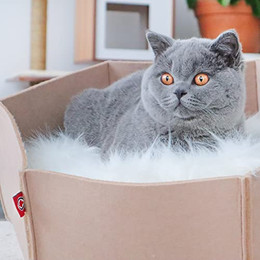 Produktbild von Canadian Cat Company Katzenbett AVA aus Filz, beige, Größe L