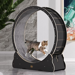 Produktbild von Canadian Cat Company Katzenlaufrad aus Holz XL schwarz