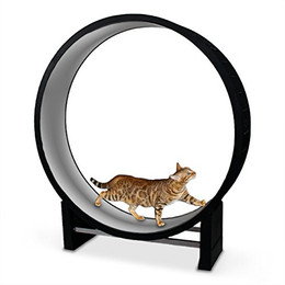 Produktbild von Canadian Cat Company Katzenspielrad Cat in Motion