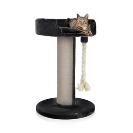 Produktbild von Canadian Cat Company Kratzbaum Ontario Katzenlounge 100 cm