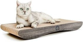 Canadian Cat Company Kratzbrett Comet XL dunkelgrau – Bild 1 von 9