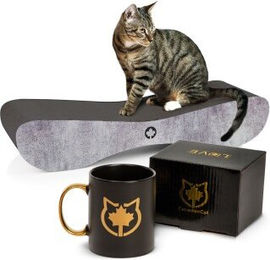 Canadian Cat Company Kratzbrett Kratzbrett Set Satellite 2.0 + Tasse grau/ schwarz – Bild 1 von 9