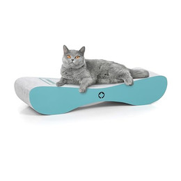 Produktbild von Canadian Cat Company Kratzbrett Satellite 2.0 türkis