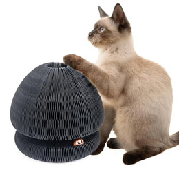 Produktbild von Canadian Cat Company Kratzpappe Champi mit Spielbällen