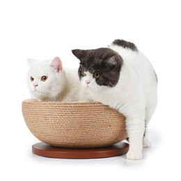 Produktbild von Canadian Cat Company Kratzschale Bowl aus Sisal