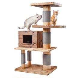Produktbild von Canadian Cat Company Outdoor Kratzbaum Woody