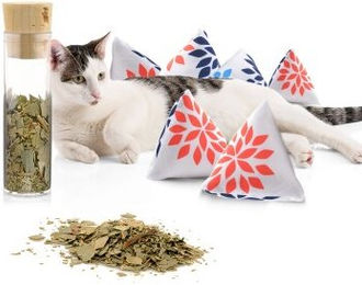 Canadian Cat Company Schmuse-Pyramide Katzenminze 6er Set Nordic Flower – Bild 1 von 7