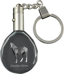 Produktbild von Canadian Horse - pendant with a picture of a horse, crystal key ring in a gift box, unique gift by Art-Dog brand transparent