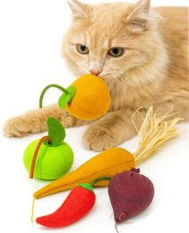 CanadianCat Company 5er-Set Katzenspielzeug Obst & Gemüse mit Katzenminze - 5 x 5 g – Bild 1 von 9