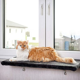 Produktbild von CanadianCat Company Katzen Fensterliege Snuggly Place Large anthrazit