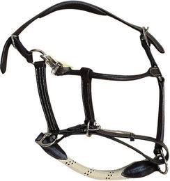 Produktbild von Canter Lederhalfter für Pferde mit Seil