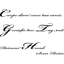 Produktbild von Carpe diem cum tua canis .. Wandtattoo Zitat Art.Nr.ZT09