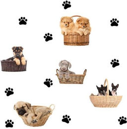 Produktbild von Cartoon Pfote Hunde Wandaufkleber abnehmbar - 1 Stk.