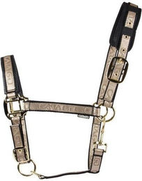 Produktbild von Catago Halfter Cob Schwarz/Gold