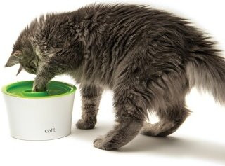 Produktbild von Catit Multi Feeder Futternapf für Katzen